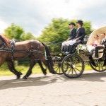 Tu Boda Elegante